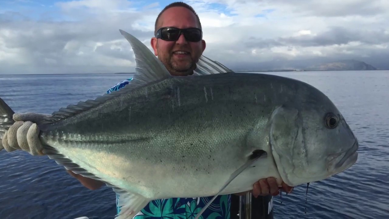 CHASING GT'S IN FIJI - Denarau Island