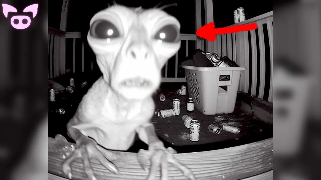 Slapped Ham's Scary Videos LIVE: Ghosts, UFO's, Cryptids, Time Travel and More!