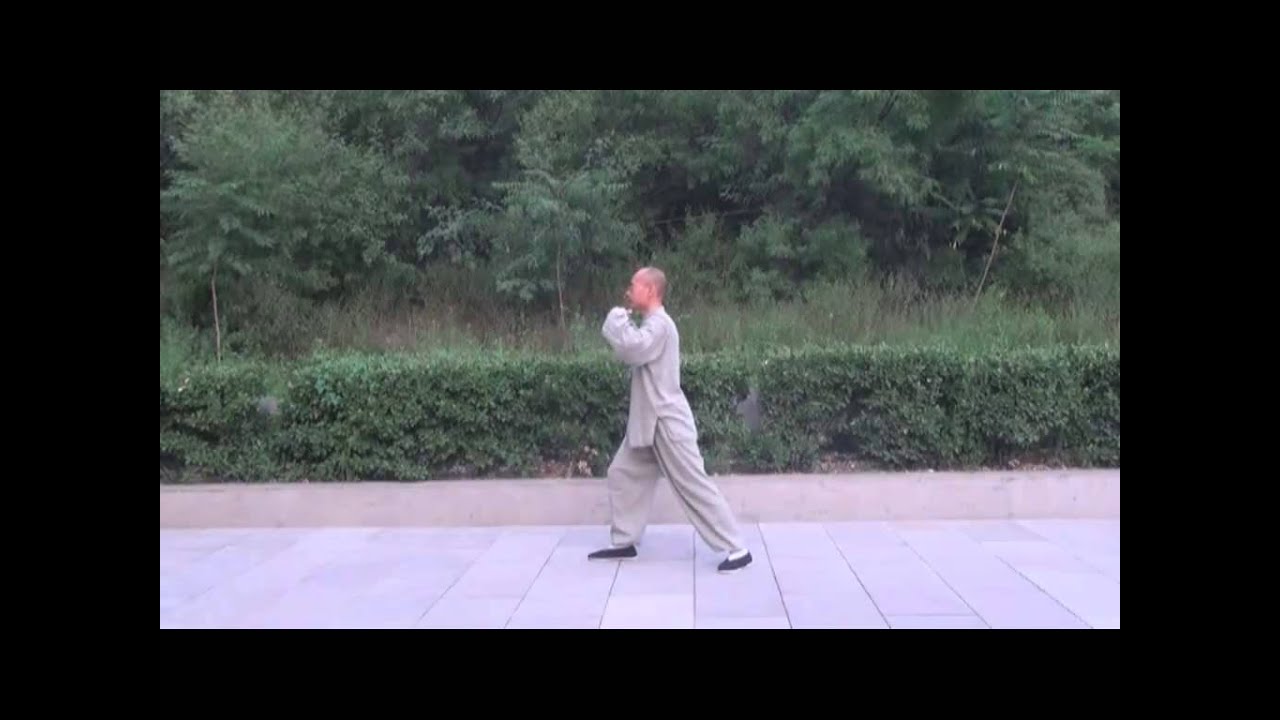 正宗杨氏太极拳教学精解2