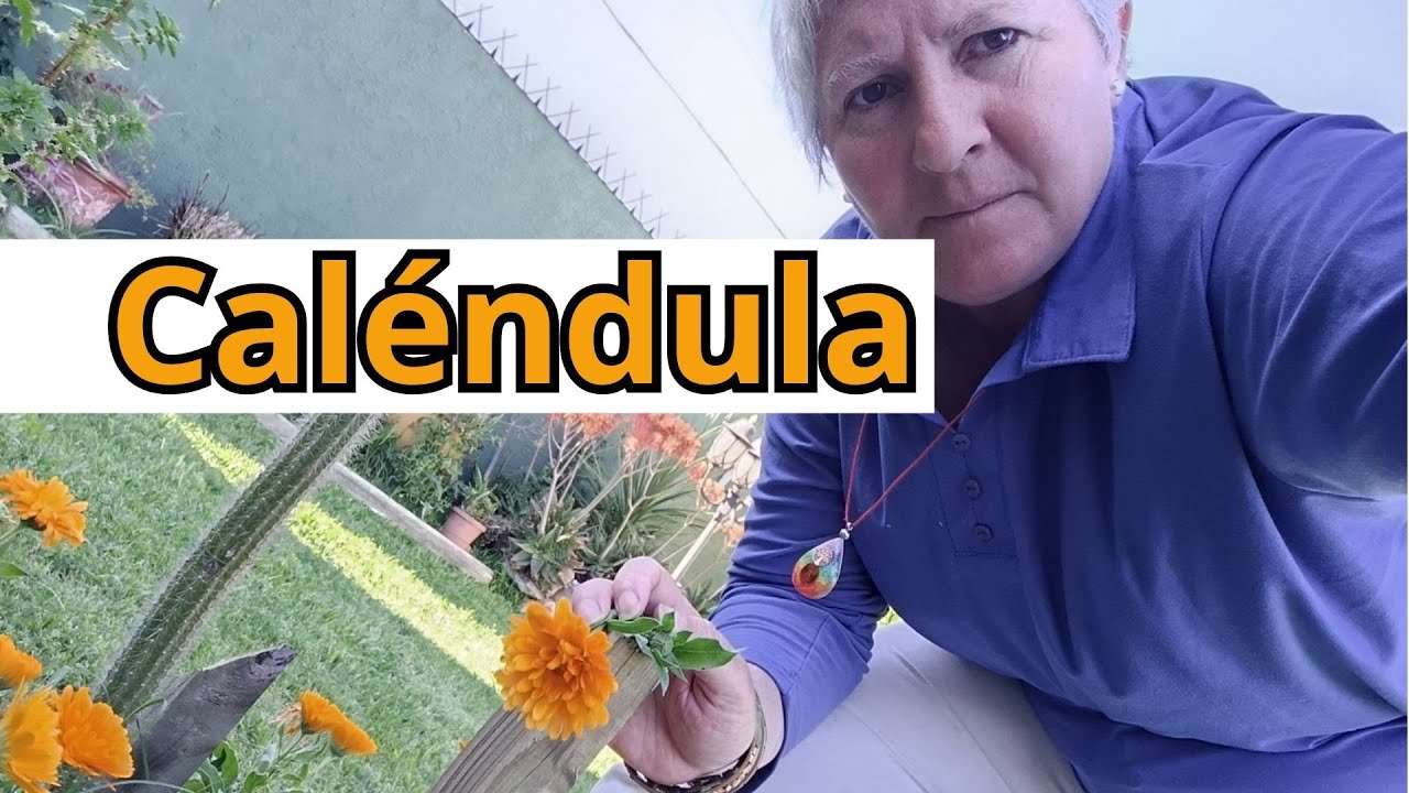 🏵Lo que nadie te contó sobre esta flor mágica