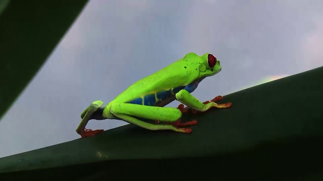 MARENA inaugura nuevo zoocriadero en la comunidad R&iacute;o Grande en el departamento de Jinotega