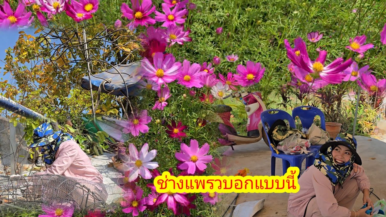ใครซื้ออุปกรณ์ให้ช่างปั้น กลับมาถึงนา..ช่างปั้นทำสิ่งนี้ย่าถึงกับอึ้ง