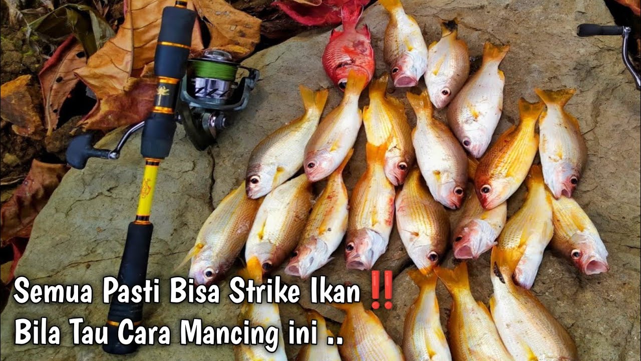 CARA MUDAH STRIKE MANCING IKAN DI PINGGIRAN LAUT | MANCING DASARAN PINGGIR LAUT
