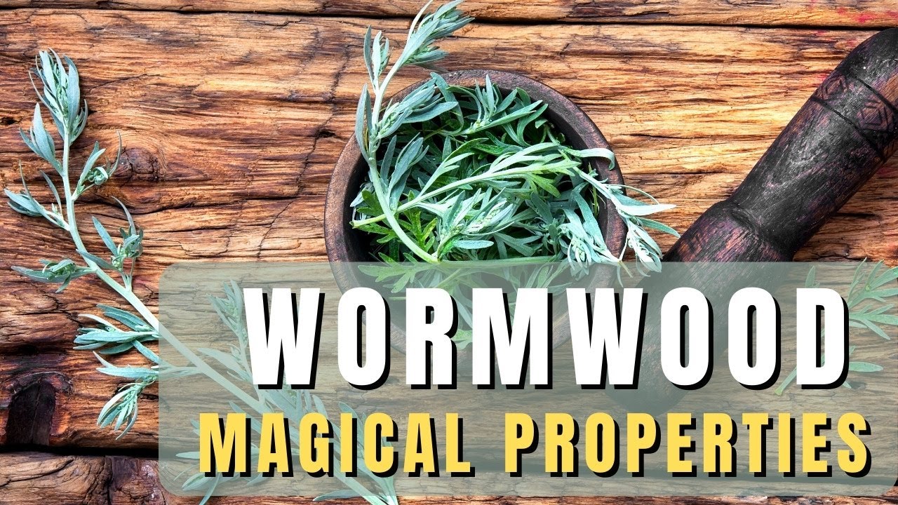 Wormwood loose herb - magical properties of wormwood
