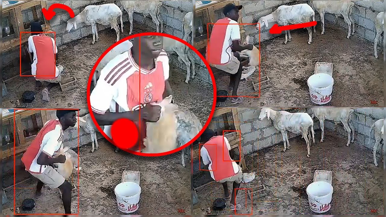 Kawtef : Wadji moy vrai badola