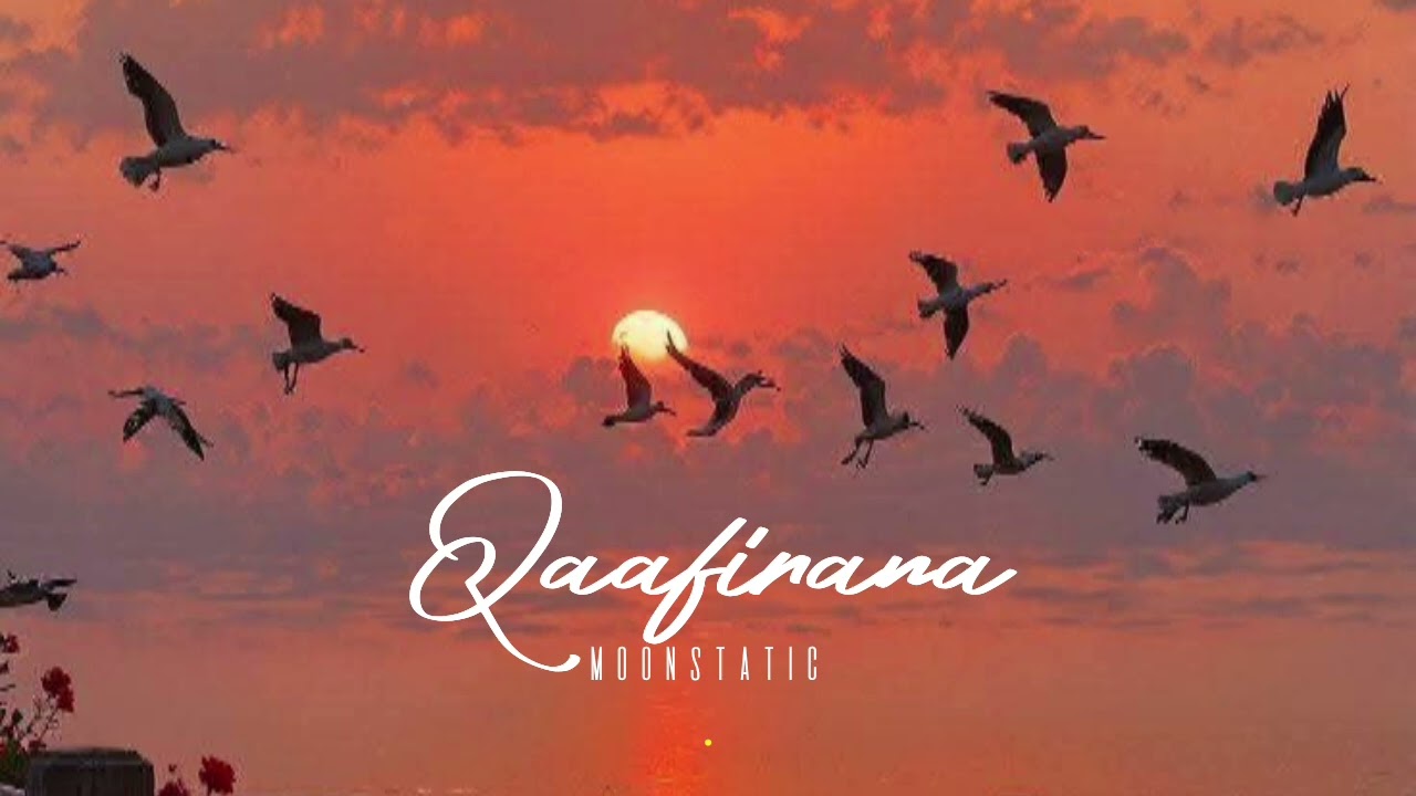 Qaafirana song