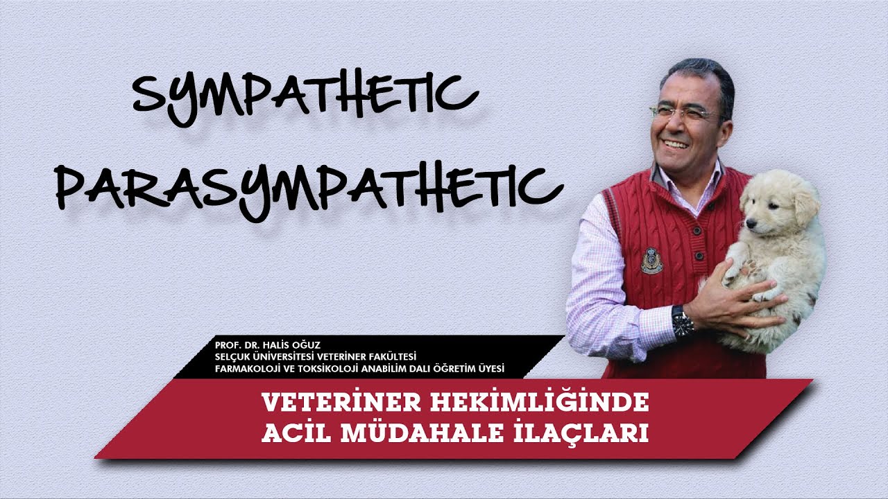 Veteriner Hekimliğinde Acil Müdahale İlaçları