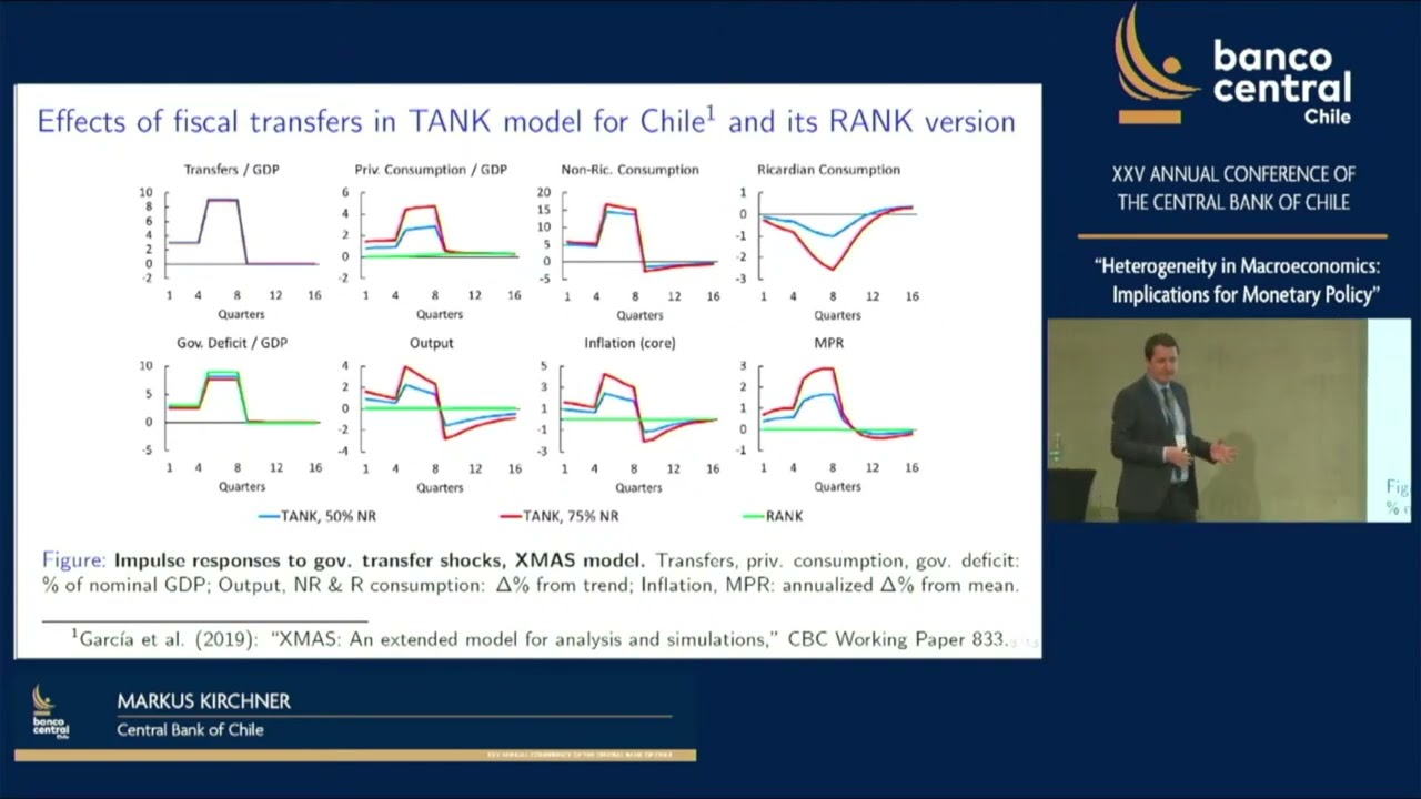 Discussant - Estimating HANK for Central Banks