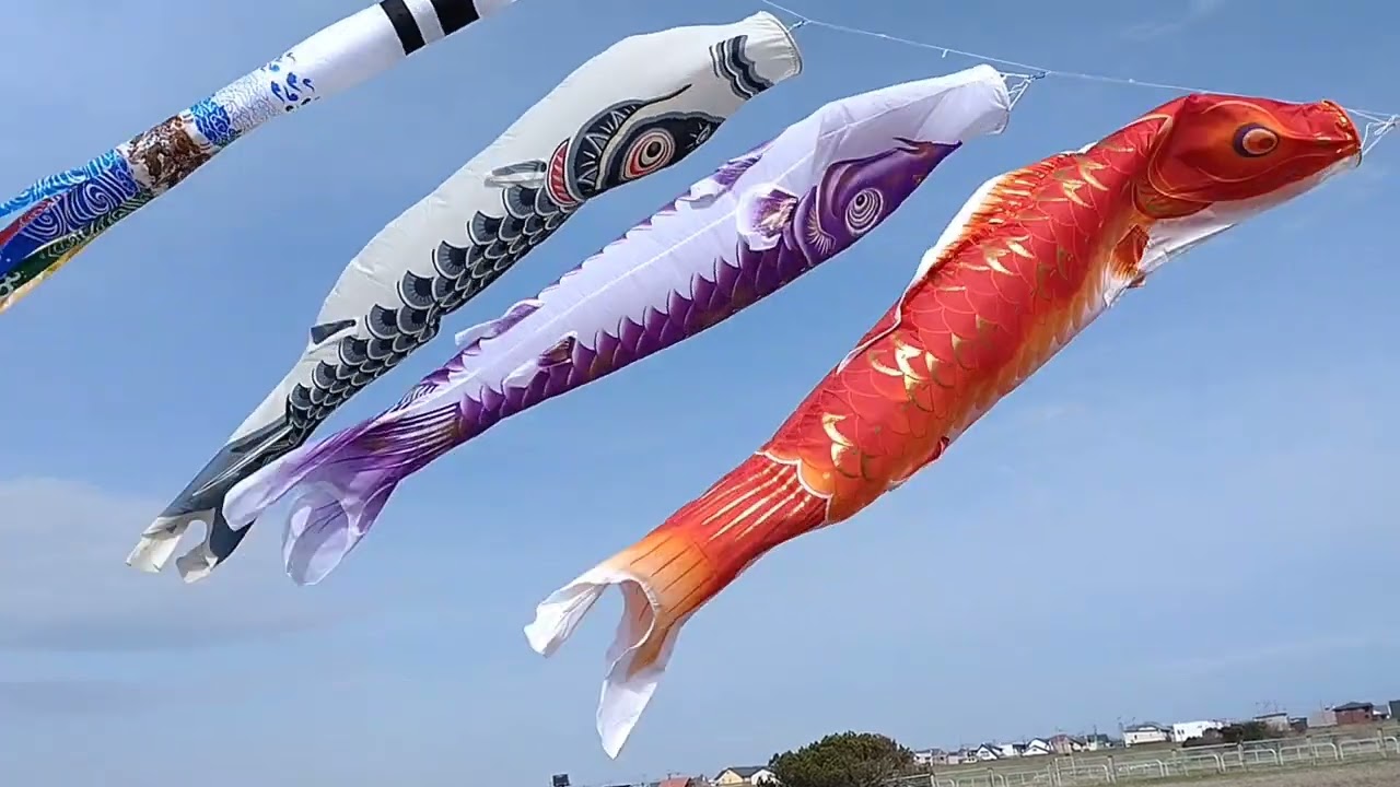 こいのぼり　あげてみました。