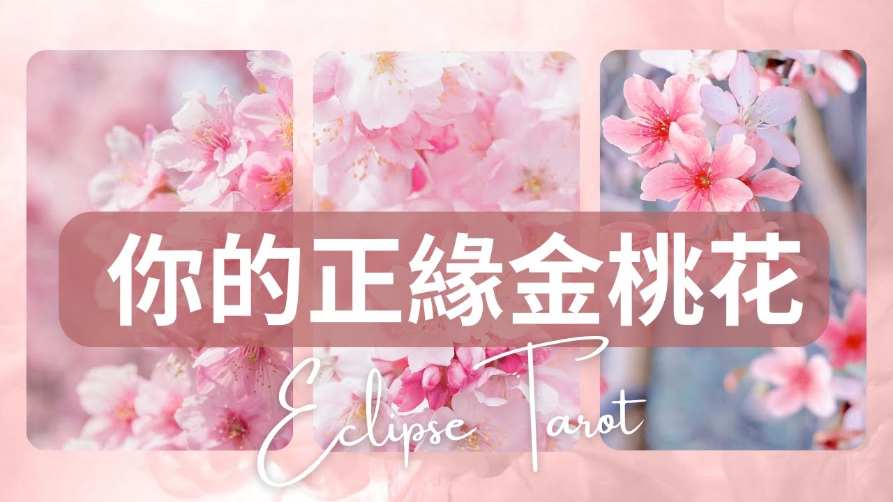 Eclipse塔羅▪️▫️ 塔羅占卜 你的正緣金桃花是誰？💍💞你會在何時&如何遇到正緣對象？正緣對象的性格特徵+外貌特徵+相遇時間|相遇方式