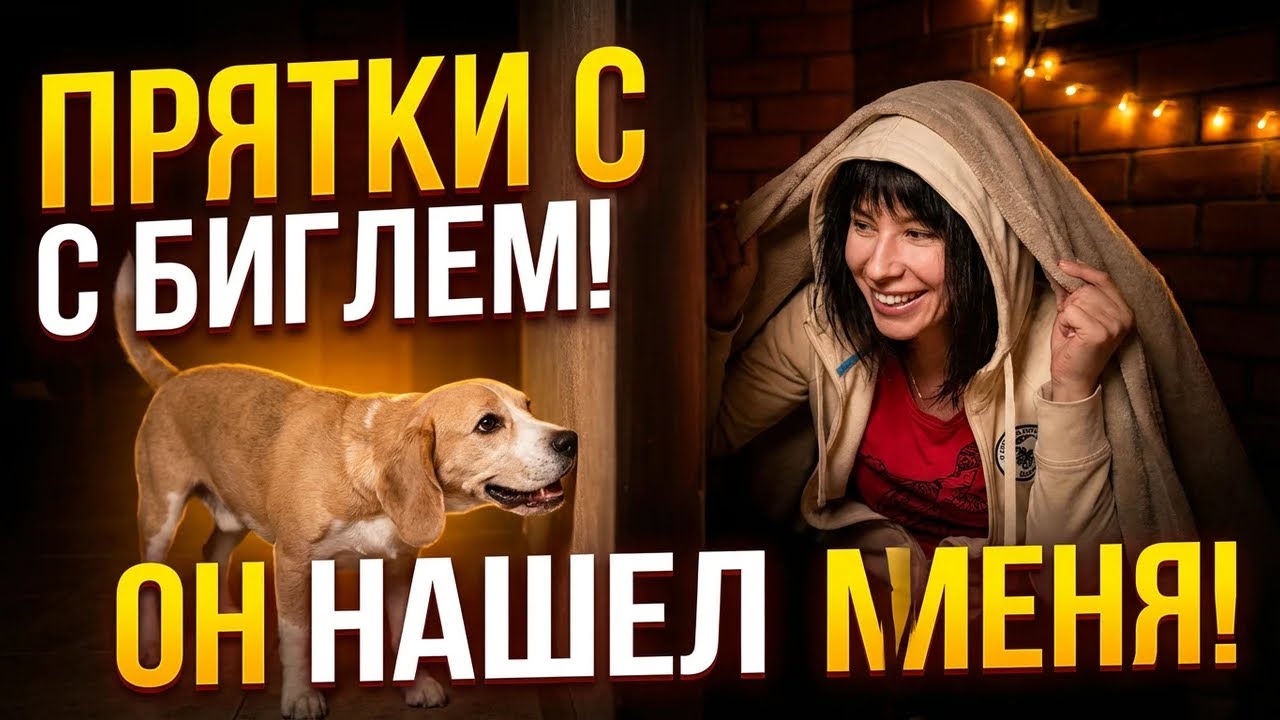 КТО НЕ СПРЯТАЛСЯ, Я НЕ ВИНОВАТ