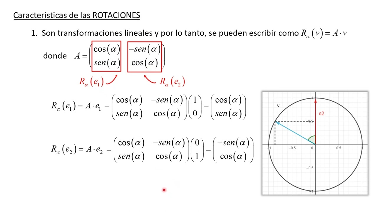 Rotaciones