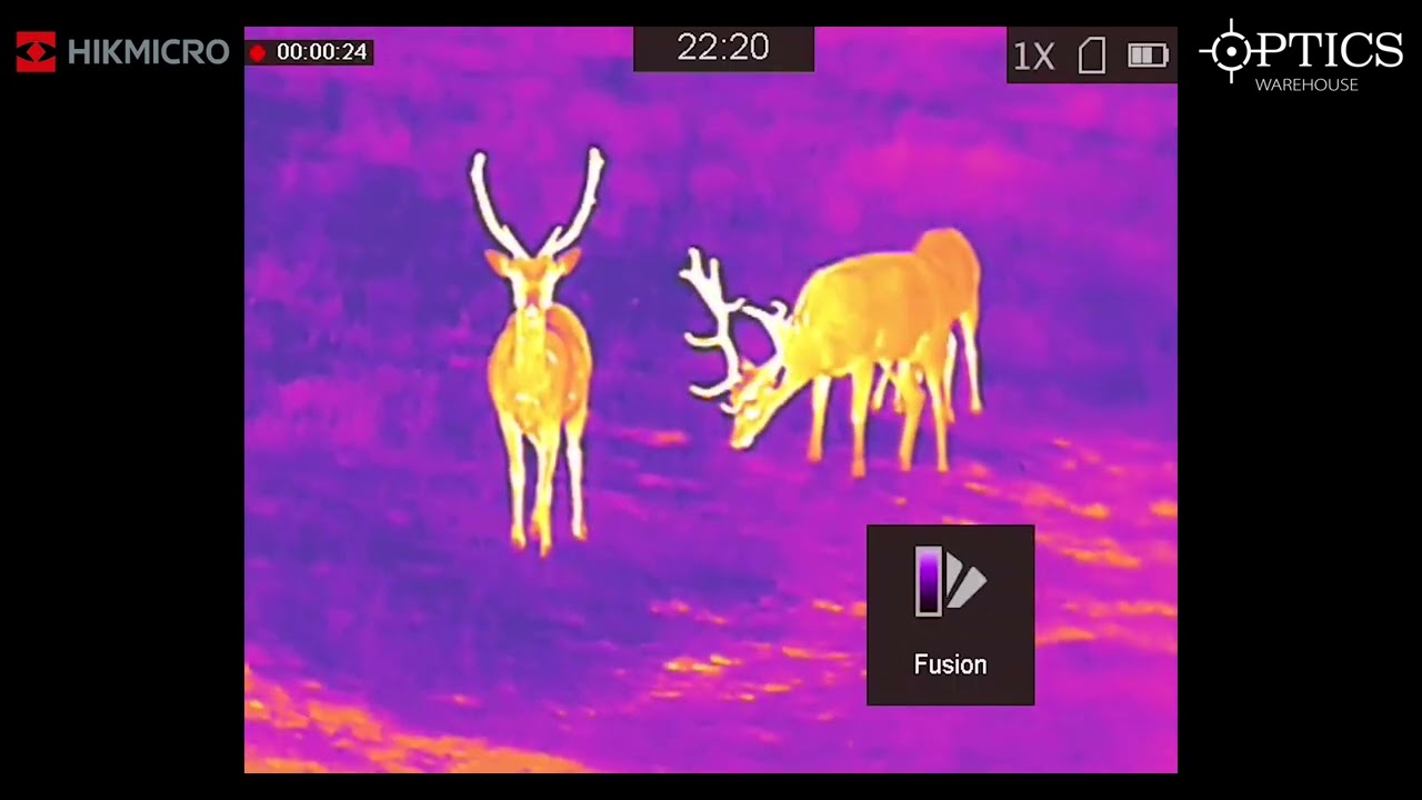 HIKMICRO Gryphon GH35L LRF Fusion Thermal & Optical Monocular Wildlife Footage