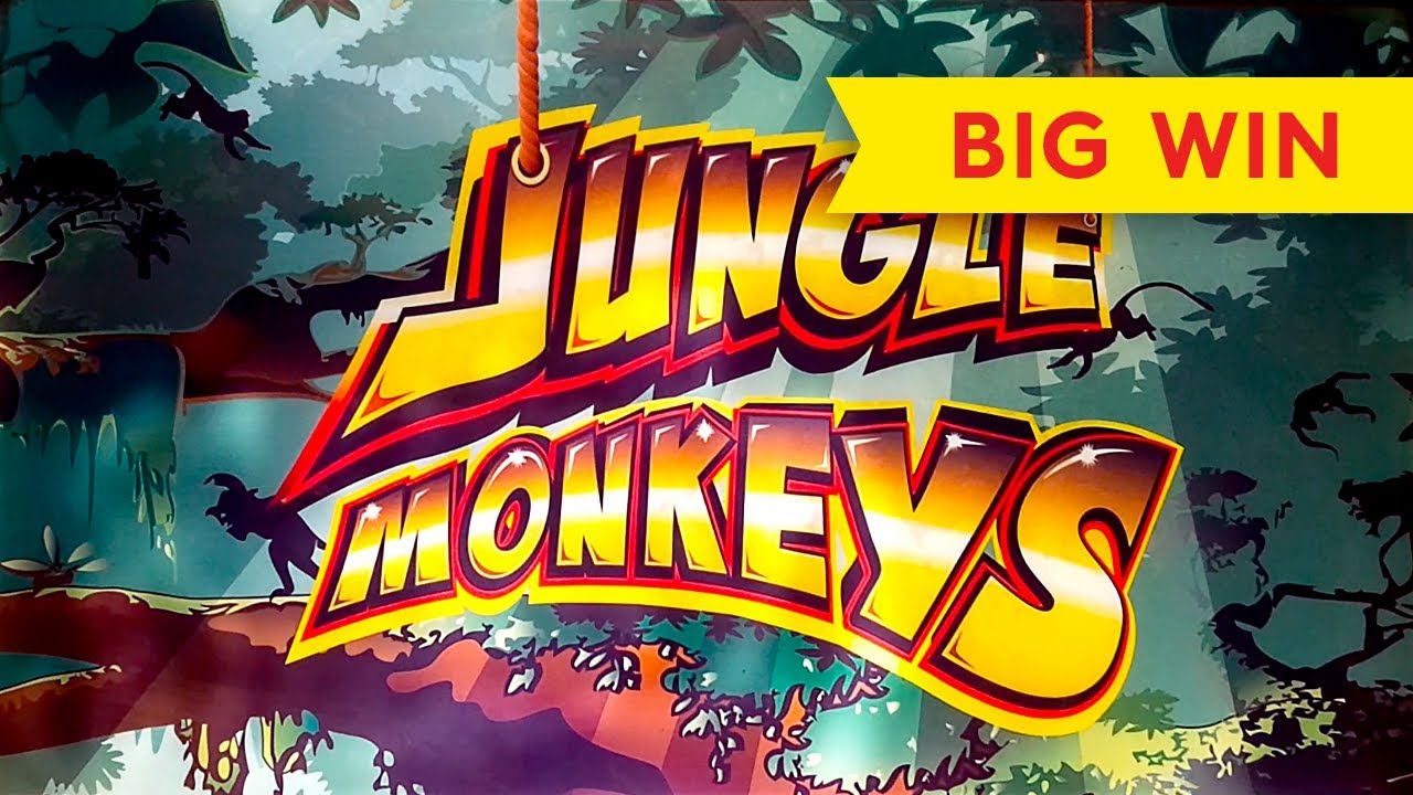 Jungle Monkeys Slot - BIG WIN BONUS!