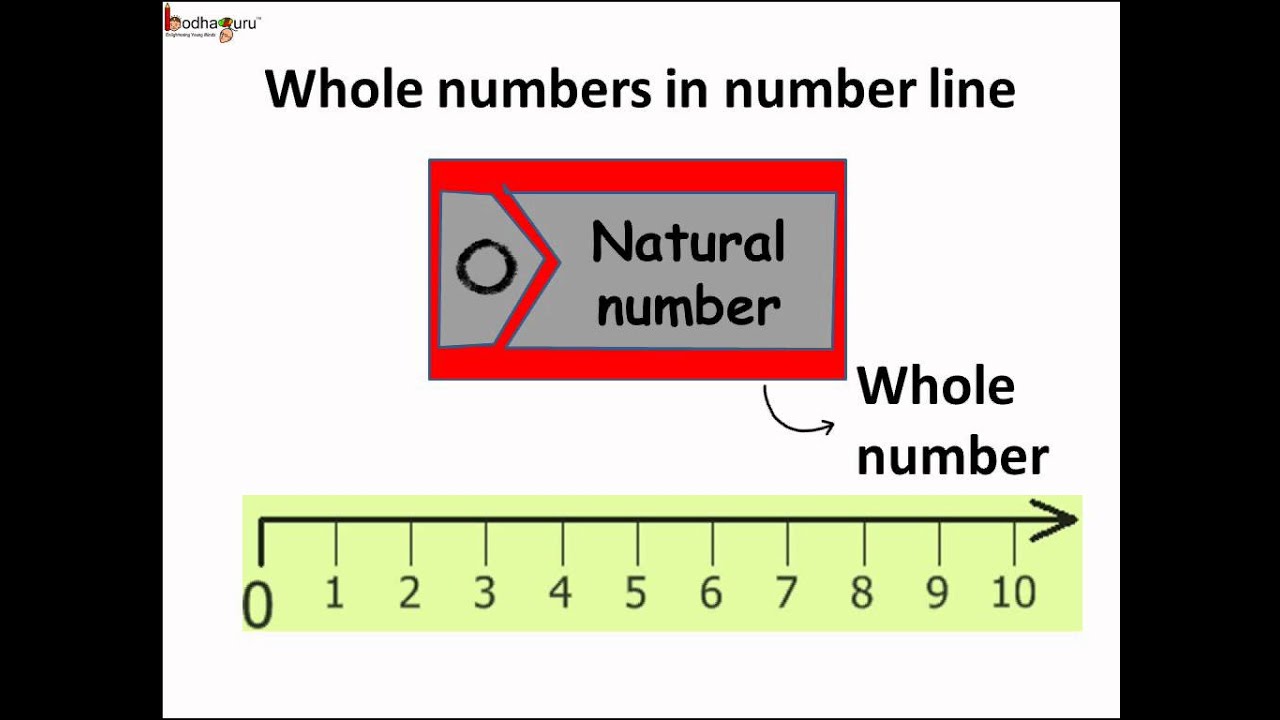 Math - What is a Whole Number - English