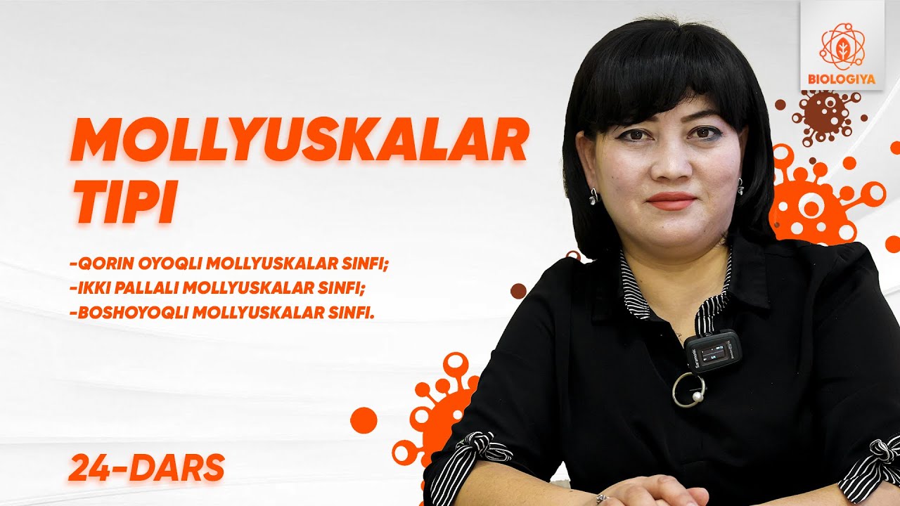 24 - dars | Mollyuskalar tipi | Onlayn biologiya