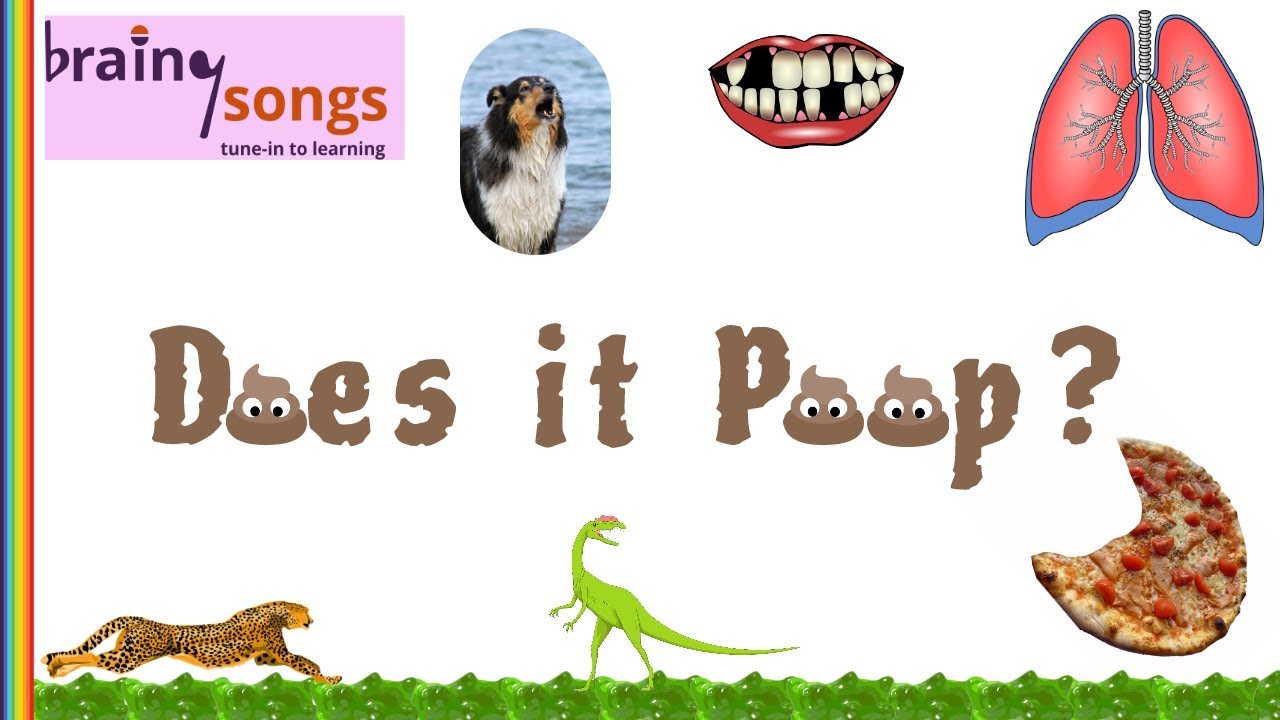 7 Characteristics of Living Things
