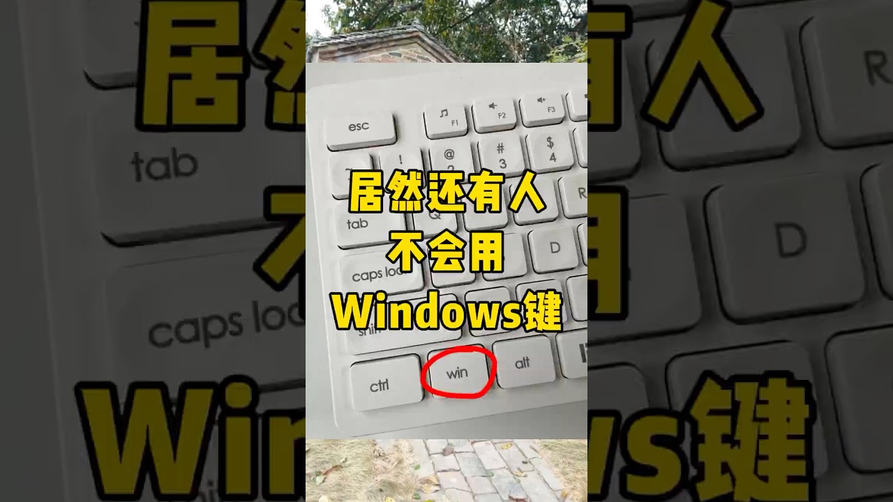 买电脑不会用Windows键等于白买#快捷键 #电脑知识 #职场 #办公技巧 #每天学习一点点