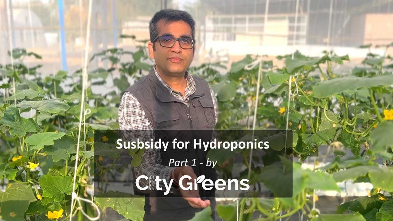 Subsidy for Hydroponic Farming - Part 1 of 3 | Indian Govt. provides financial support for farmers.
