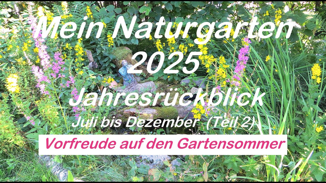 Mein Naturgarten - Jahresrückblick 2025 Juli-Dezember (Teil 2)