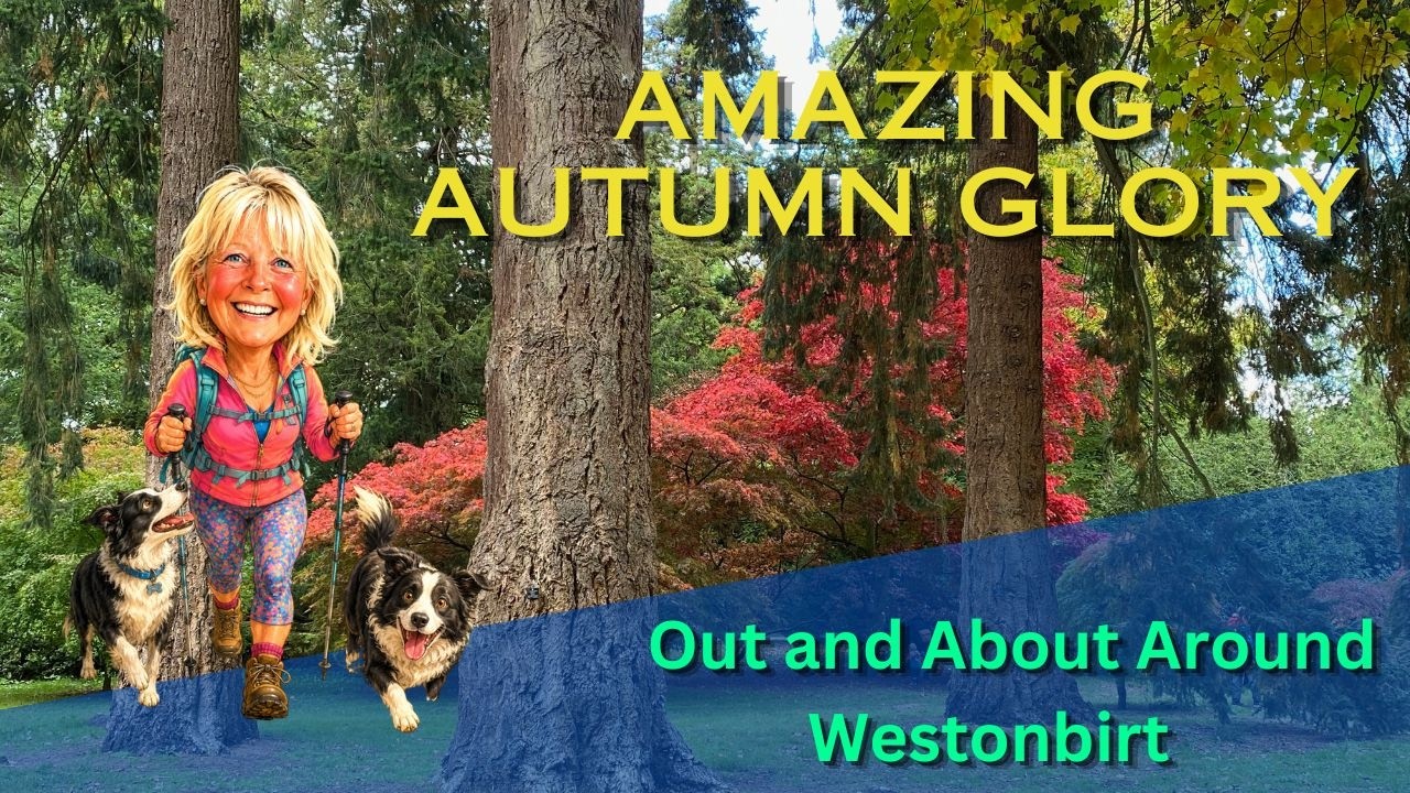 Westonbirt National Arboretum - Autumn Glory!