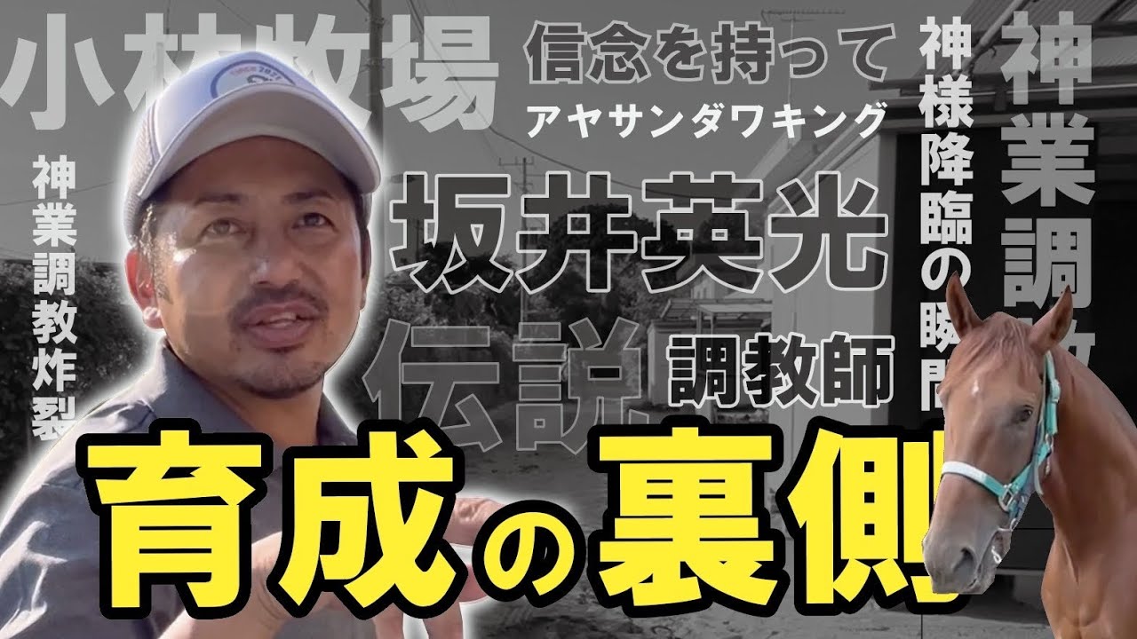【馬主】2023年度南関東競馬勝率No.１トレーナー！坂井英光調教師の『育成の裏側』をお見せします。ぶっちゃけ話やどんな調教をしているの？地方競馬でも夢はドバイワールドカップ制覇を目標に奮闘しています