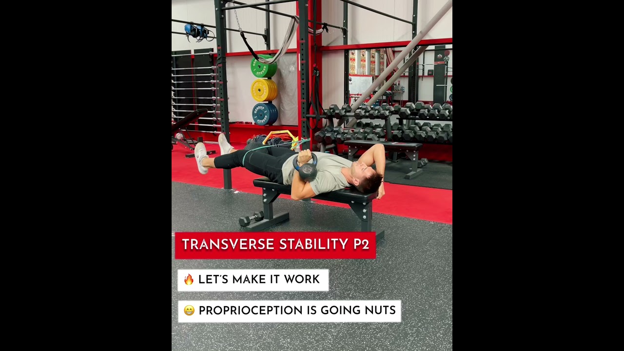 TRANSVERSE STABILITY 🧠