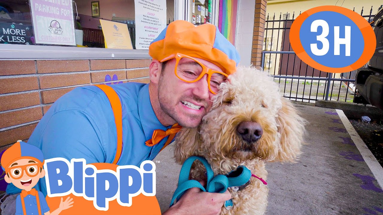 Caring After Pets - Blippi and Cute Animals | Blippi - Kids Playground | Educational Videos for Kids