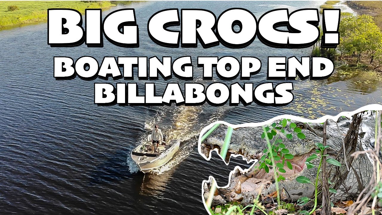 Saltwater Crocodiles in the Northern Territory!! Boating in the NT surrounded by Crocs!