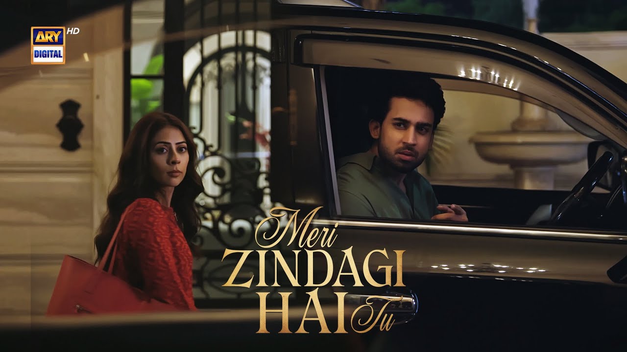 Suno!! Tumhari Behen Pagal hai  🤪 | Meri Zindagi Hai Tu | Hania Aamir | Bilal Abbas | ARY Digital