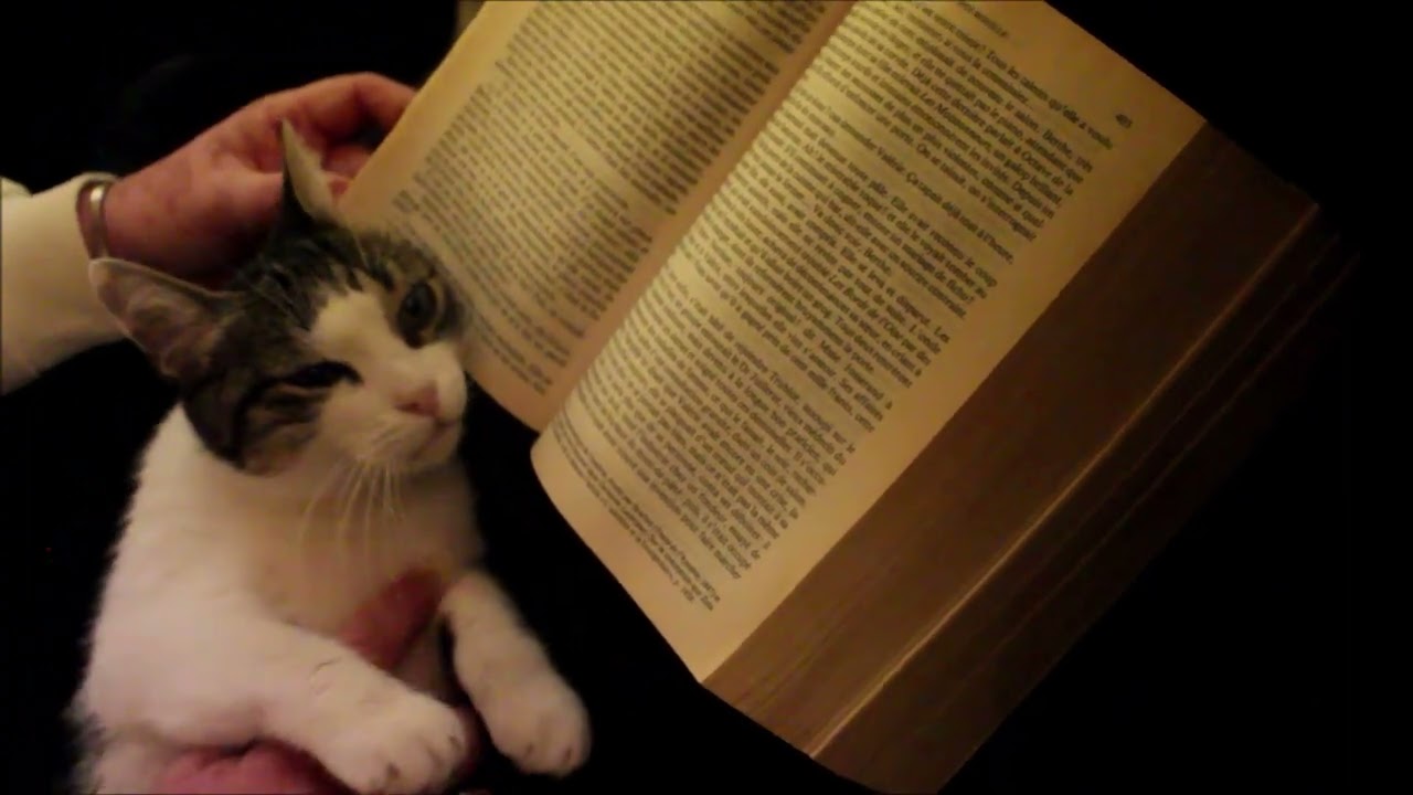 Lecture chuchotée Pot bouille d'Emile Zola fin chapitre 2 - début chapitre 3