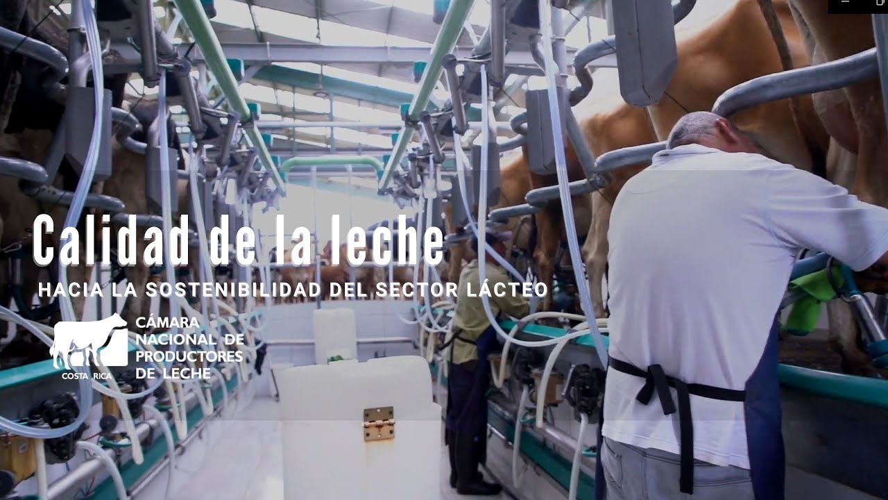 Calidad de Leche