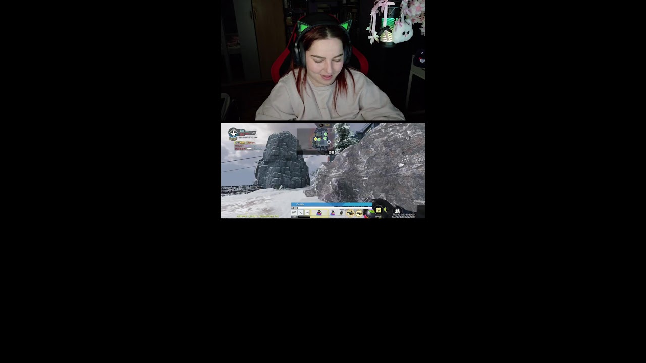 Best stream ever?