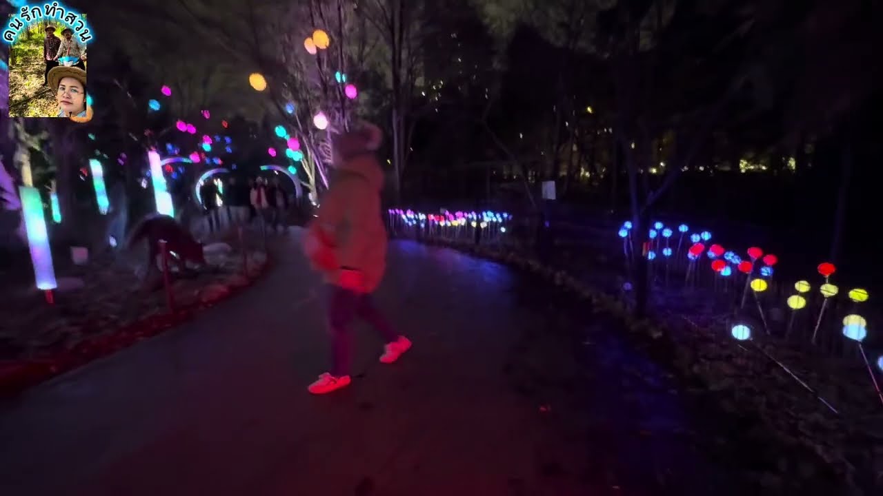 Lincoln Zoo lights on Christmas Day 2025