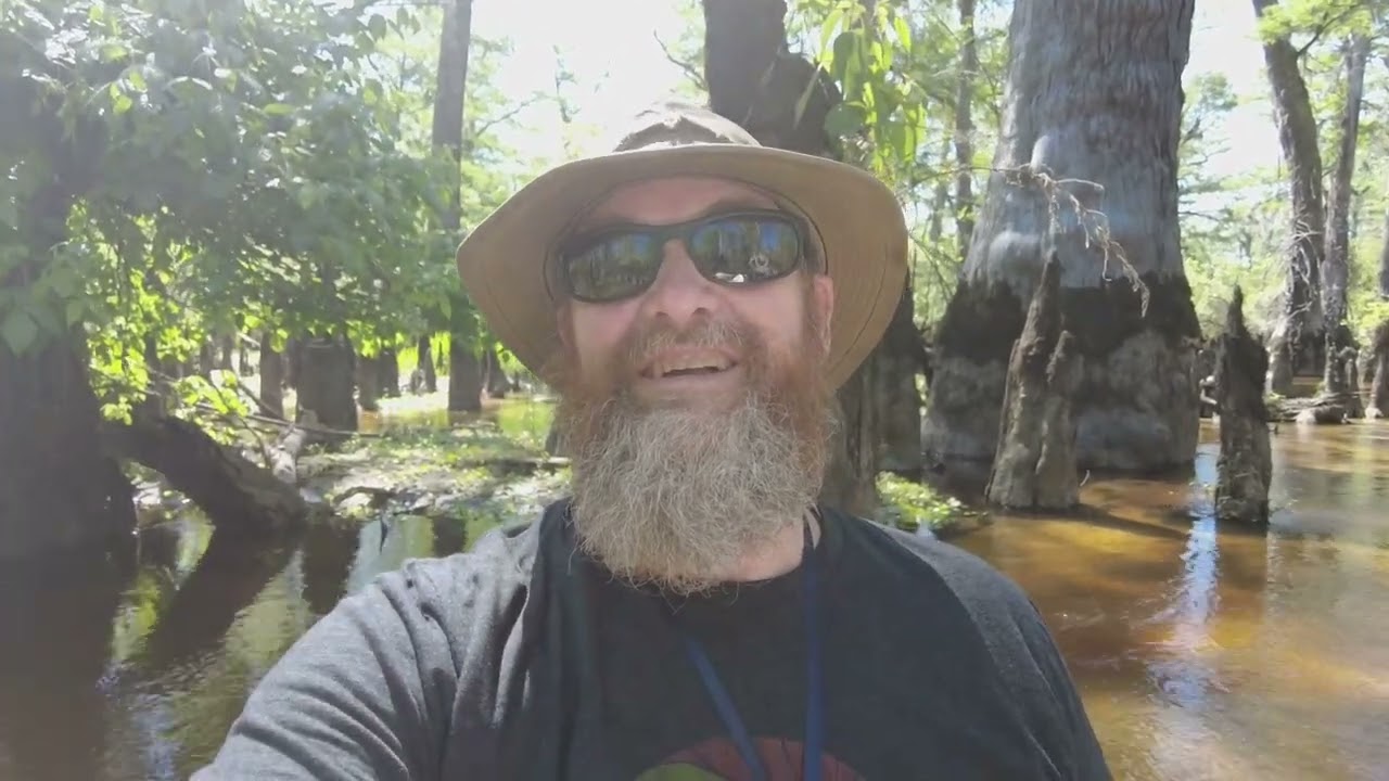 Three Sisters Swamp