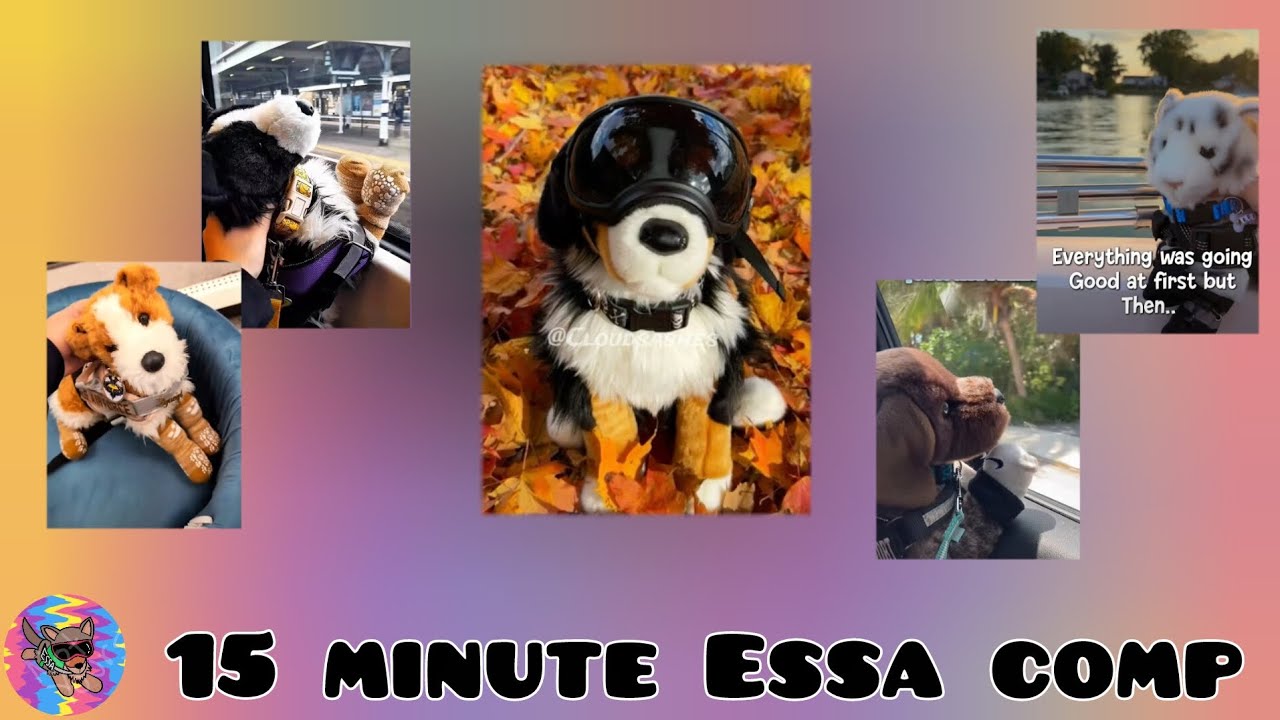 Essa comp because you still dont have tiktok (outing ed)