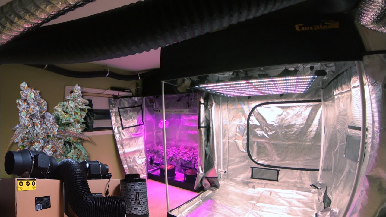 GROW ROOM OVERHAUL: COMPLETE REBUILD GUIDE