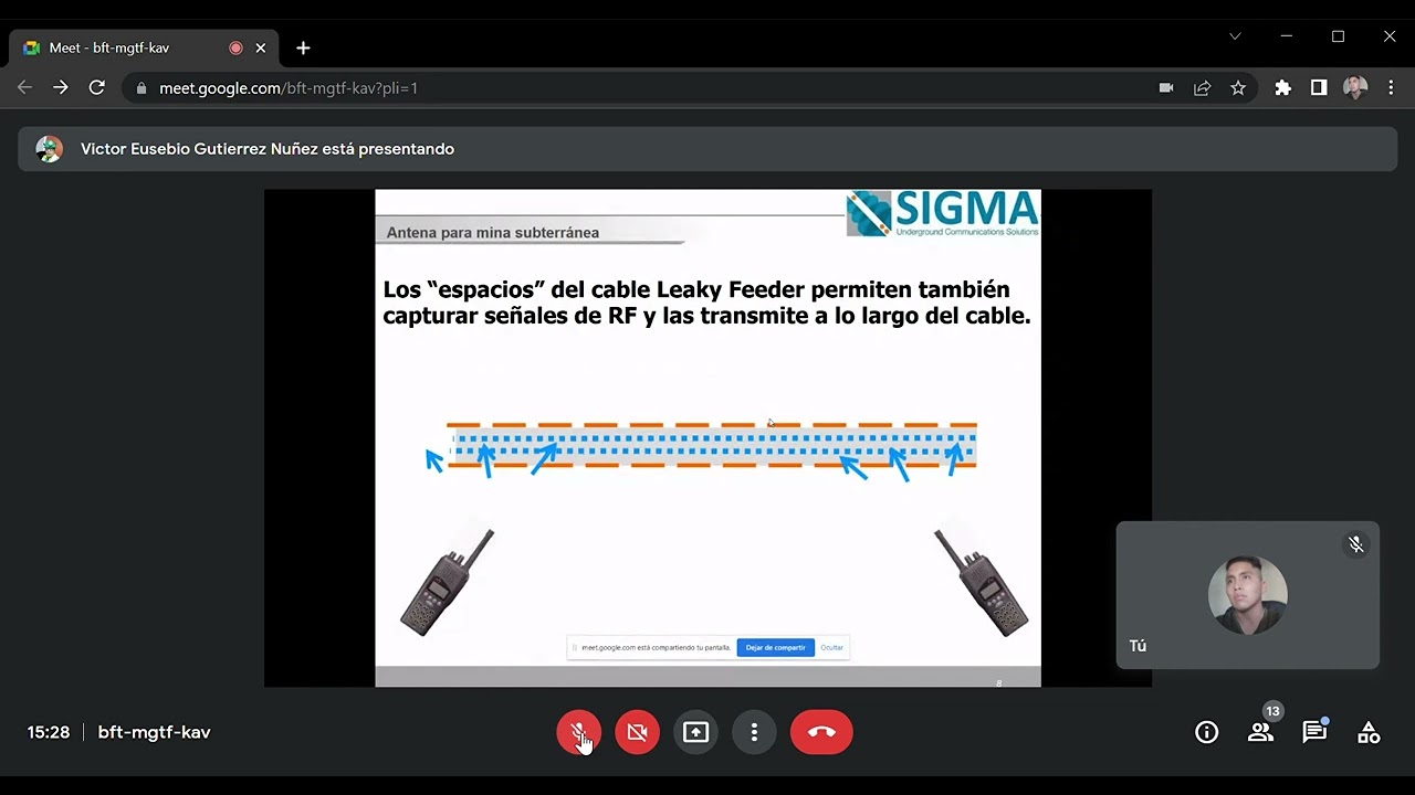 Leaky Feeder