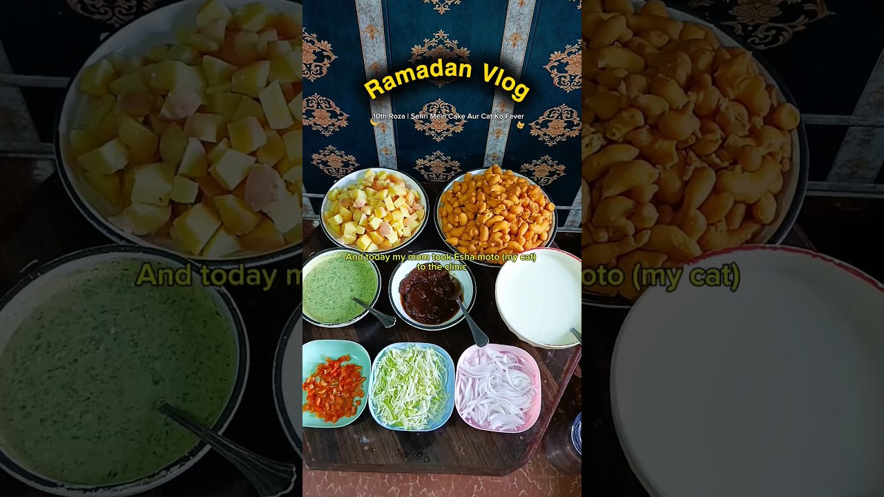 Ramadan Vlog 🌙 | Day 10 & 12 - Last Paper Ho Gaya 🎓 Cats Ki Sehri Aur Family Iftar 🐱🍽️ #adayinmylife