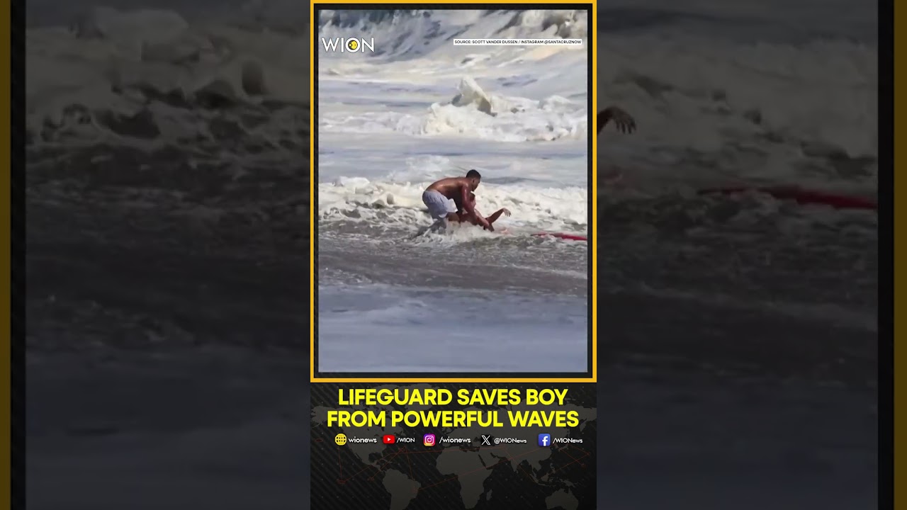 California Beach Rescue: Lifeguard Saves Young Boy From Powerful Waves | WION Shorts