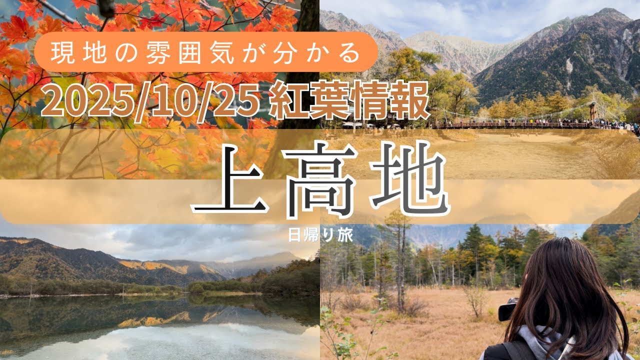 【上高地の紅葉2025】大正池〜明神池を早朝散策｜今の色づきと秋の雰囲気をお届け🍁