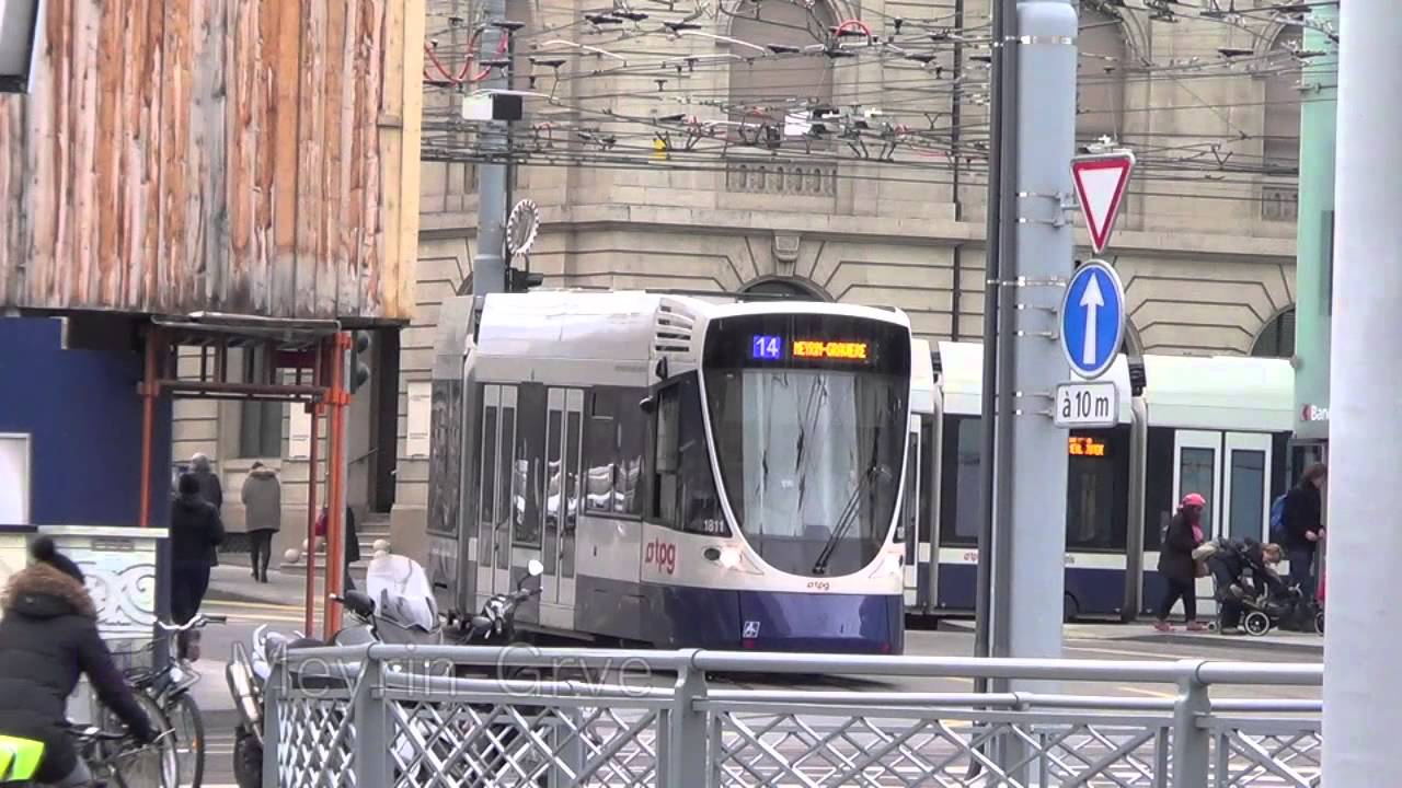 [Genève] tpg - 28 Décembre 2013