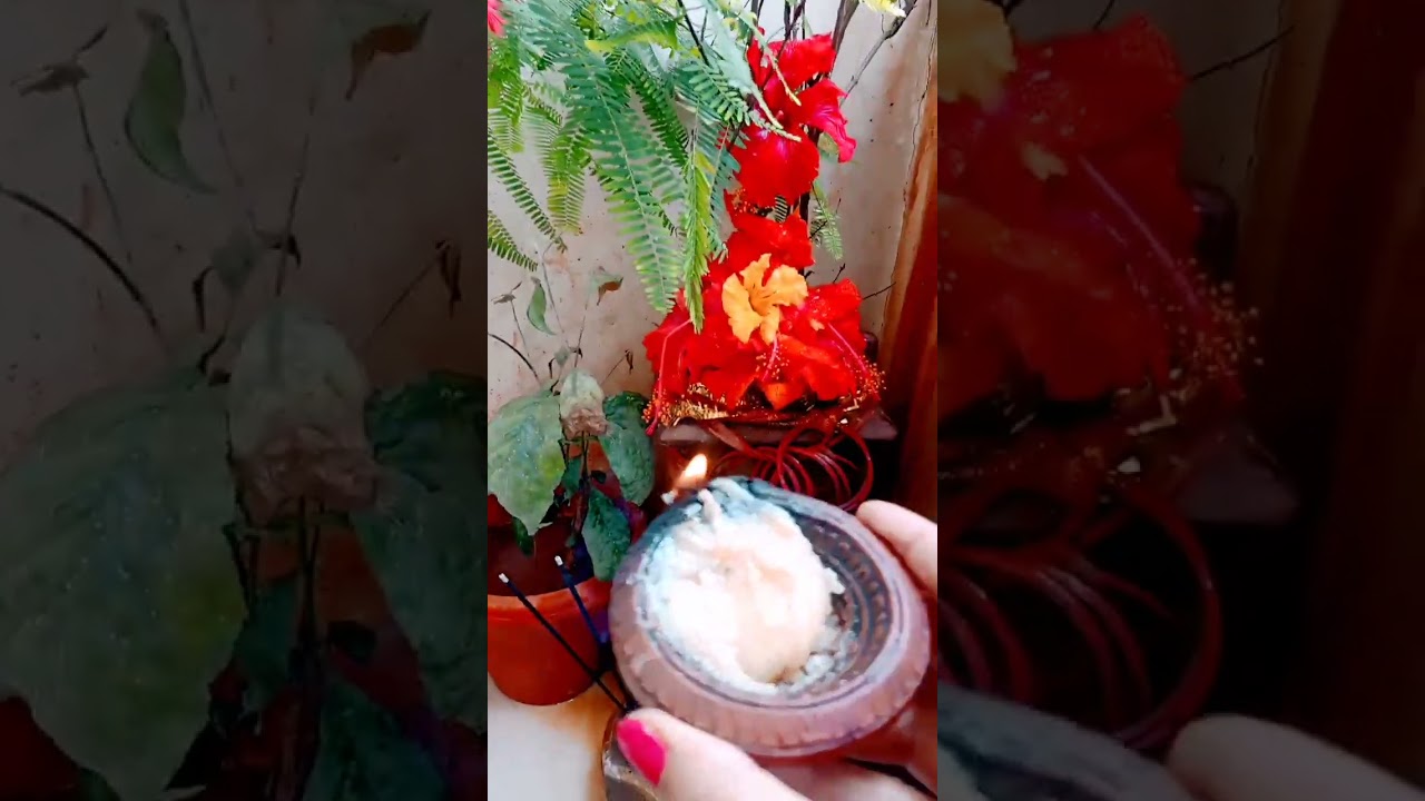 Morning tulsi pooja#daily pooja#shorts video#yshorts#