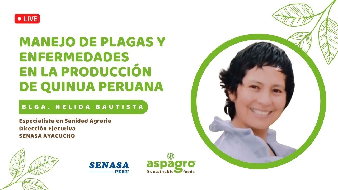 WEBINAR: MANEJO DE PLAGAS Y ENFERMEDADES EN LA PRODUCCIÓN DE QUINUA PERUANA