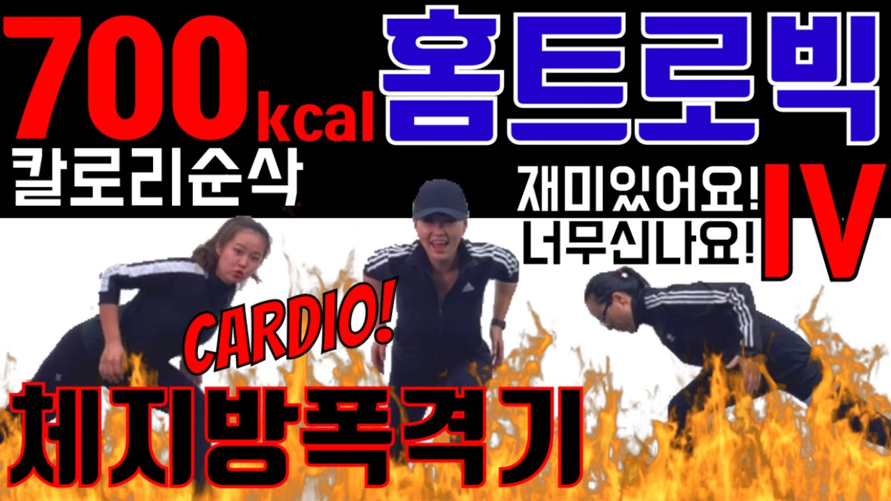 홈트로빅 4탄 미친운동 700칼로리 순삭운동 병맛주의 집에서 유산소운동 [삐약스핏] whole body hometraining for losing weight