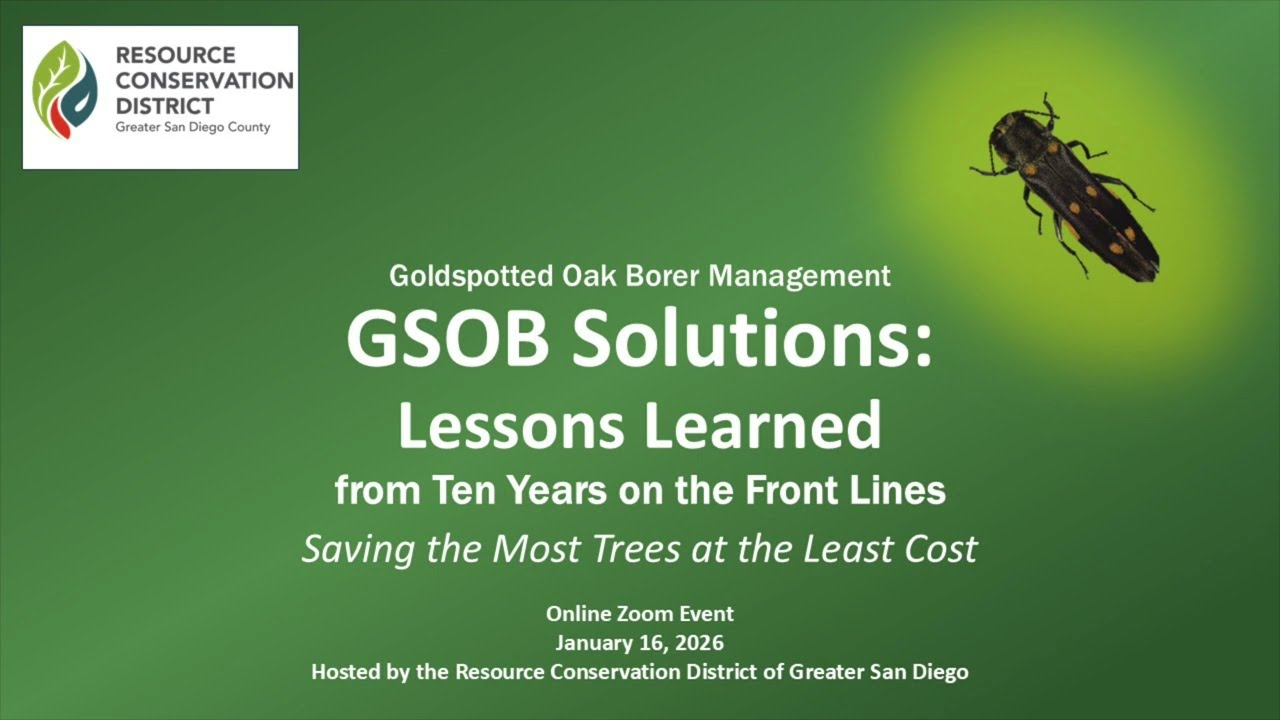 Goldspotted Oak Borer Solutions - Lessons Learned