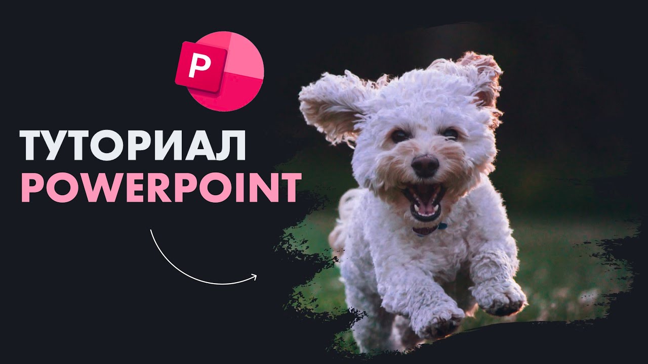 анимация в PowerPoint // туториал на дизайн презентации