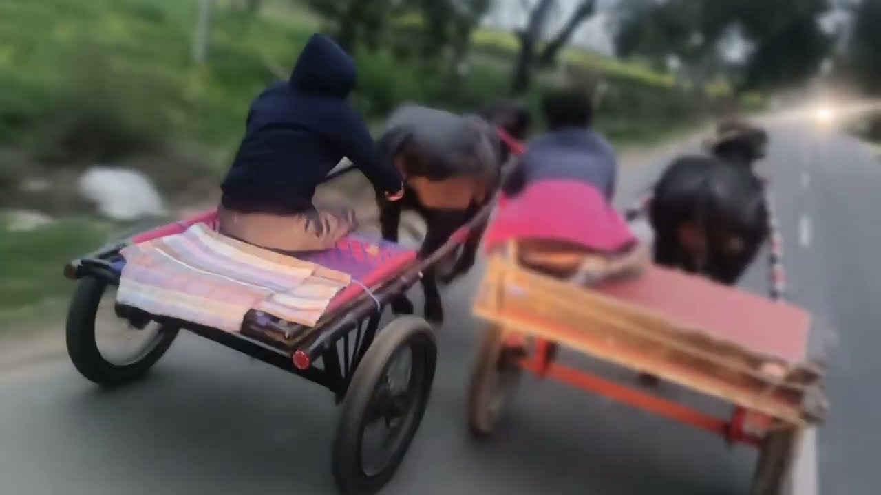पिंकू Vs विकास सोहजनी के बीच बहुत अच्छाgame हुआ है दोनों लावारे उन्ने थे जिसमें पिंकू सोहजनी winner 