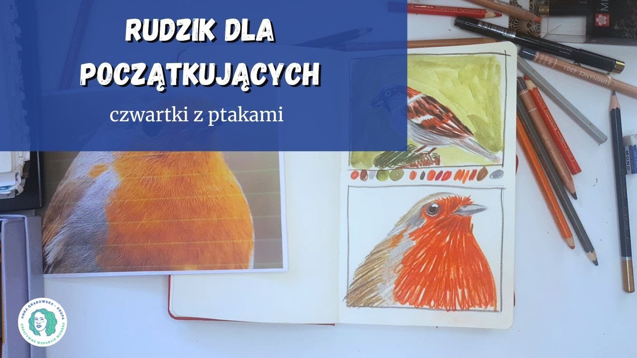 Rudzik dla początkujących