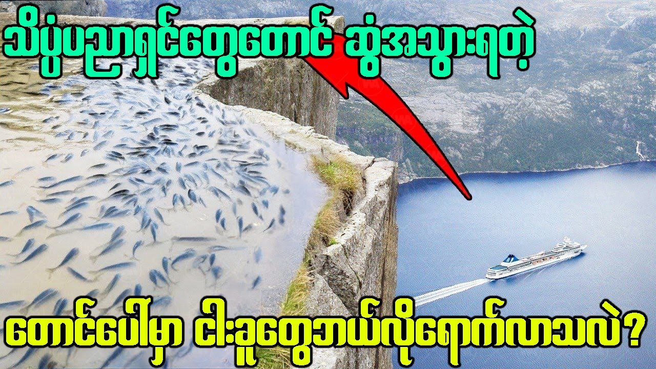 ဘယ်သူမှမရှိတဲ့ တောင်ပေါ်ကရေကန်ထဲကို လျှိဝှက်ခရီးစဉ်တွေနဲ့ရောက်လာခဲ့တဲ့ ငါးများ!